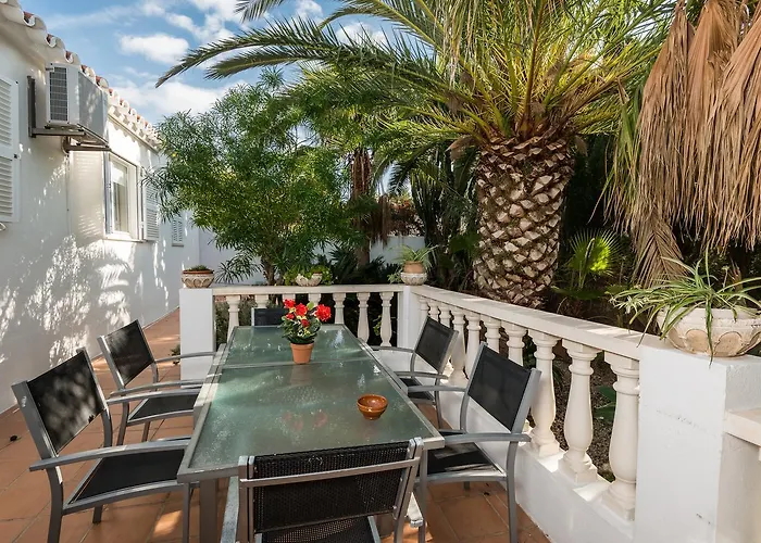 Palmera * Cala En Porter (Menorca)