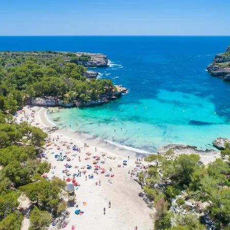 Palmera Cala En Porter (Menorca)