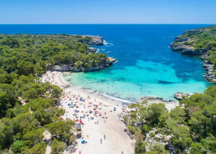 Palmera Cala En Porter (Menorca)